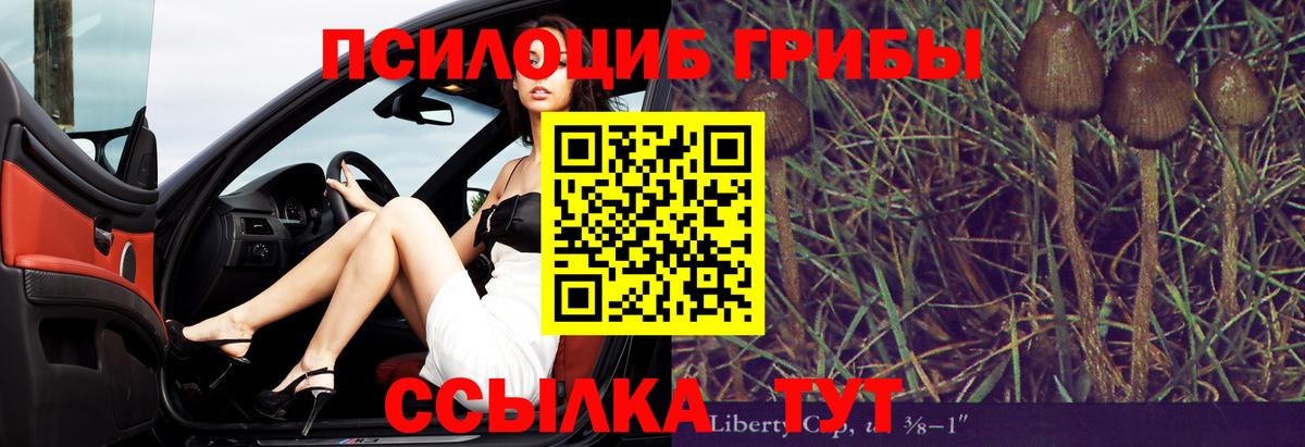 Галлюциногенные грибы Psilocybine cubensis  Вход с VPN  Гатчина 